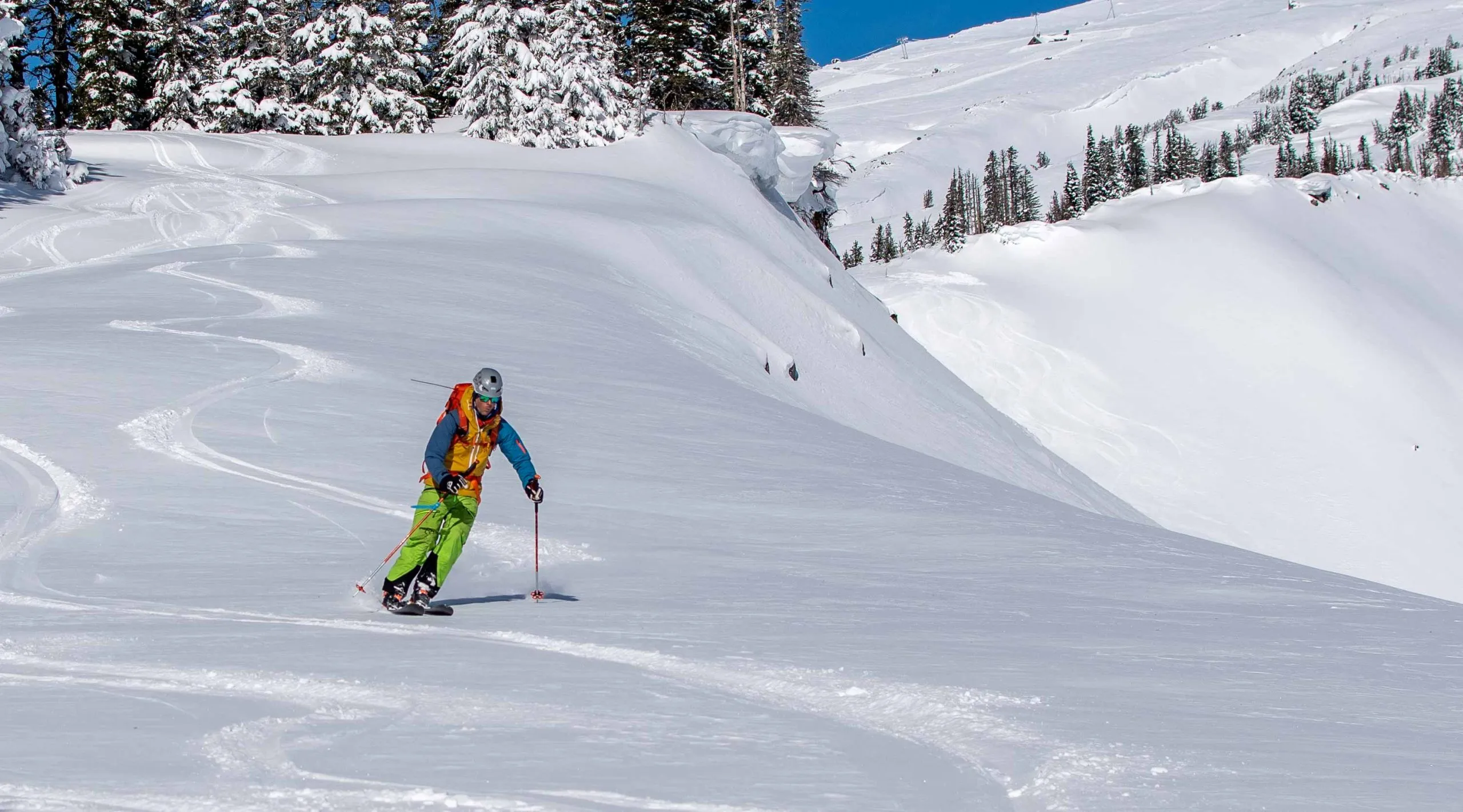 First Tracks